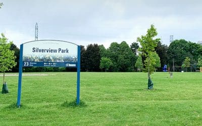 Silverview Park Survey